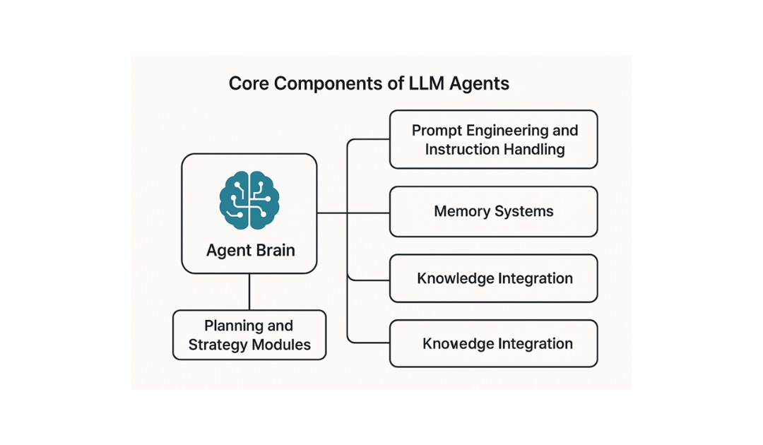 Core components of LLM agents