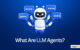 What Are LLM Agents?