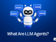 What Are LLM Agents?
