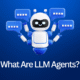 What Are LLM Agents?